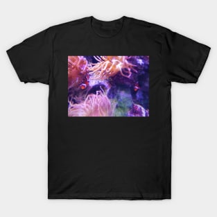 Clown fish in the anemone T-Shirt